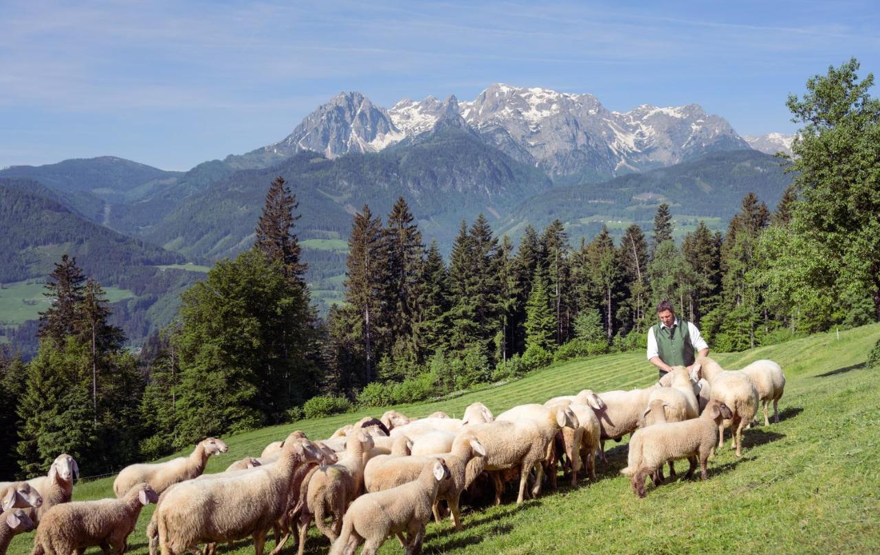 Familienbauernhof Samerhof ฟาร์แวร์เฟน ภายนอก รูปภาพ