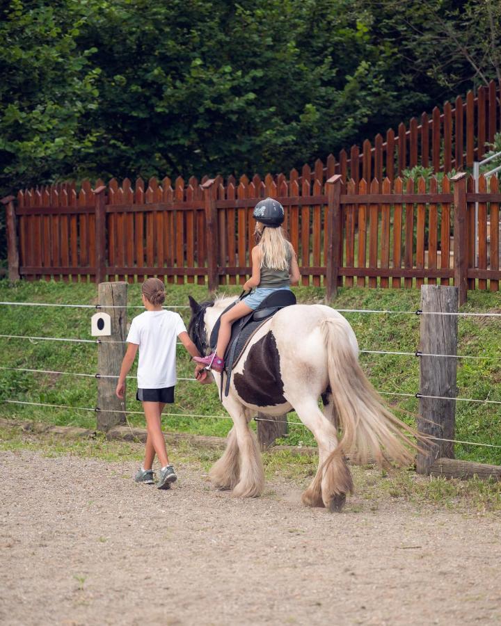 Familienbauernhof Samerhof ฟาร์แวร์เฟน ภายนอก รูปภาพ