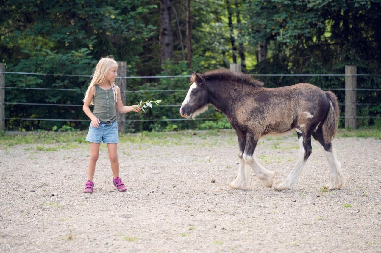 Familienbauernhof Samerhof ฟาร์แวร์เฟน ภายนอก รูปภาพ