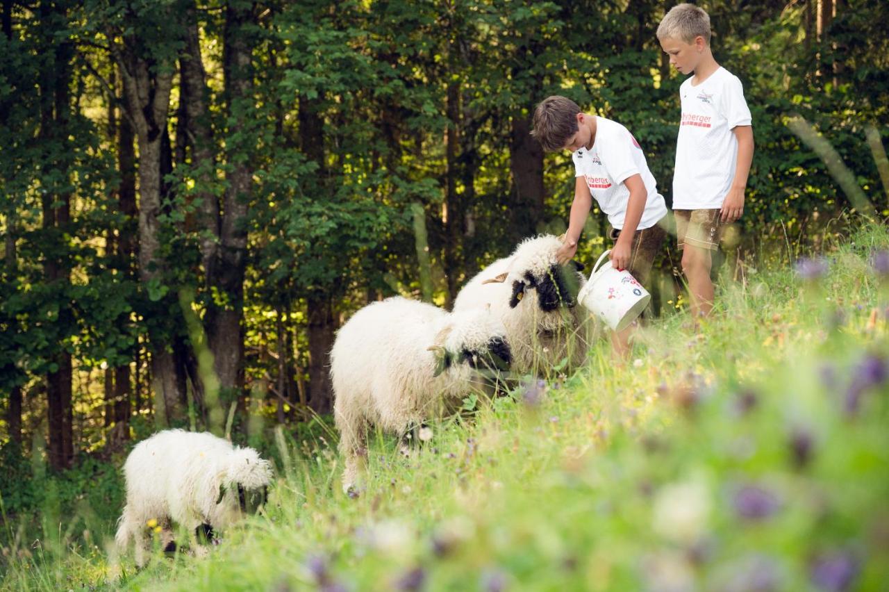 Familienbauernhof Samerhof ฟาร์แวร์เฟน ภายนอก รูปภาพ