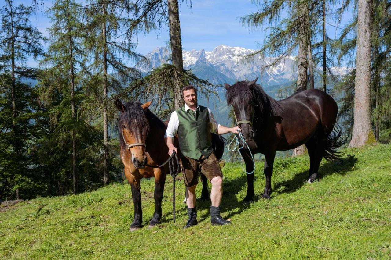 Familienbauernhof Samerhof ฟาร์แวร์เฟน ภายนอก รูปภาพ