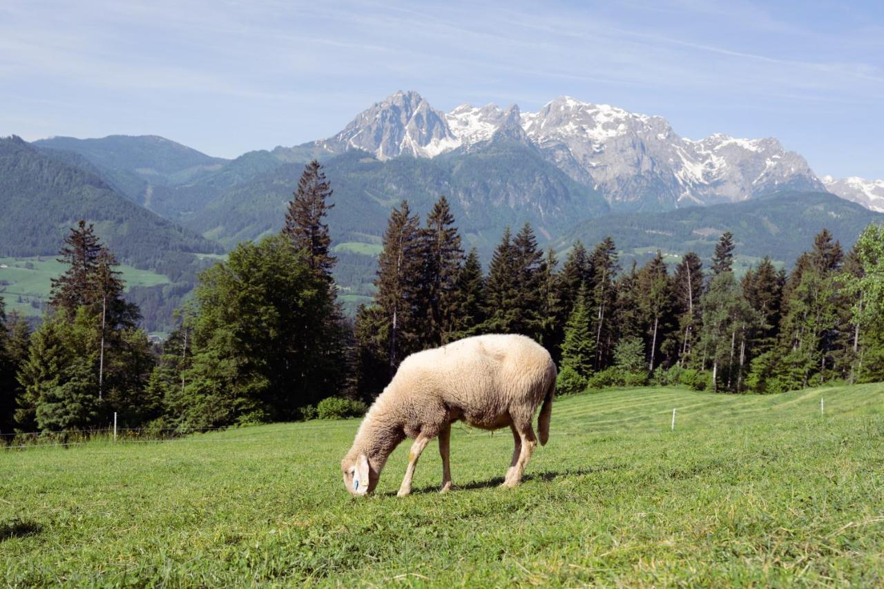 Familienbauernhof Samerhof ฟาร์แวร์เฟน ภายนอก รูปภาพ