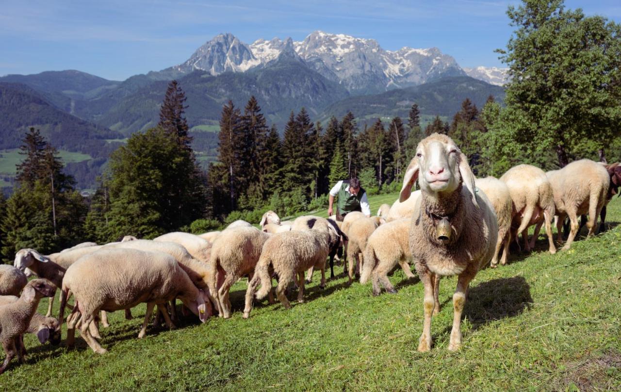 Familienbauernhof Samerhof ฟาร์แวร์เฟน ภายนอก รูปภาพ