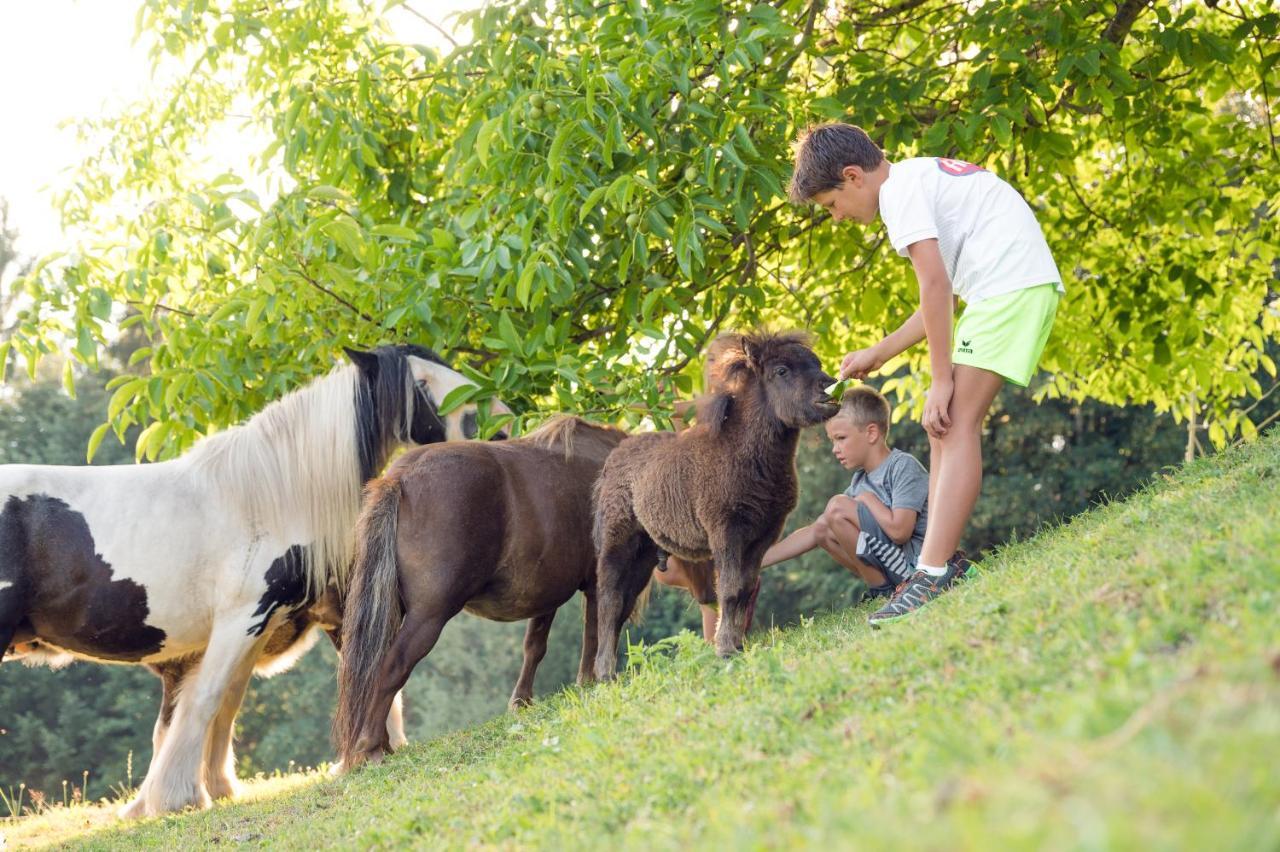 Familienbauernhof Samerhof ฟาร์แวร์เฟน ภายนอก รูปภาพ