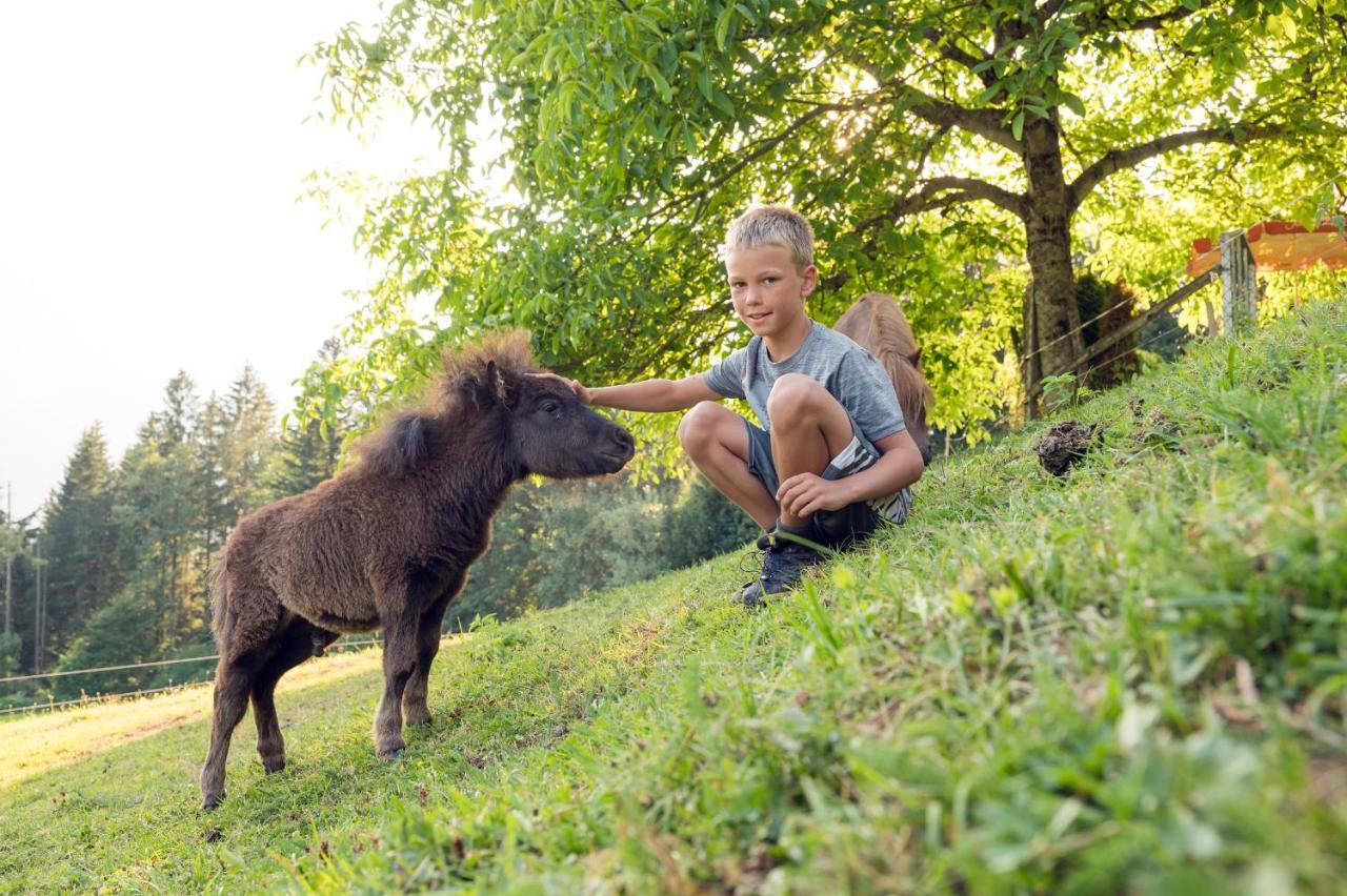 Familienbauernhof Samerhof ฟาร์แวร์เฟน ภายนอก รูปภาพ