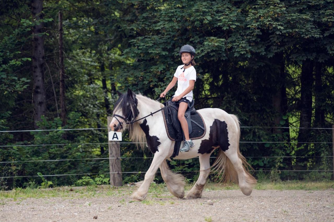 Familienbauernhof Samerhof ฟาร์แวร์เฟน ภายนอก รูปภาพ