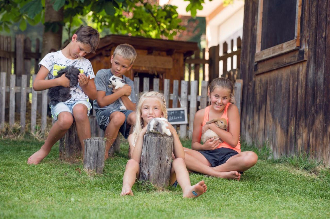 Familienbauernhof Samerhof ฟาร์แวร์เฟน ภายนอก รูปภาพ