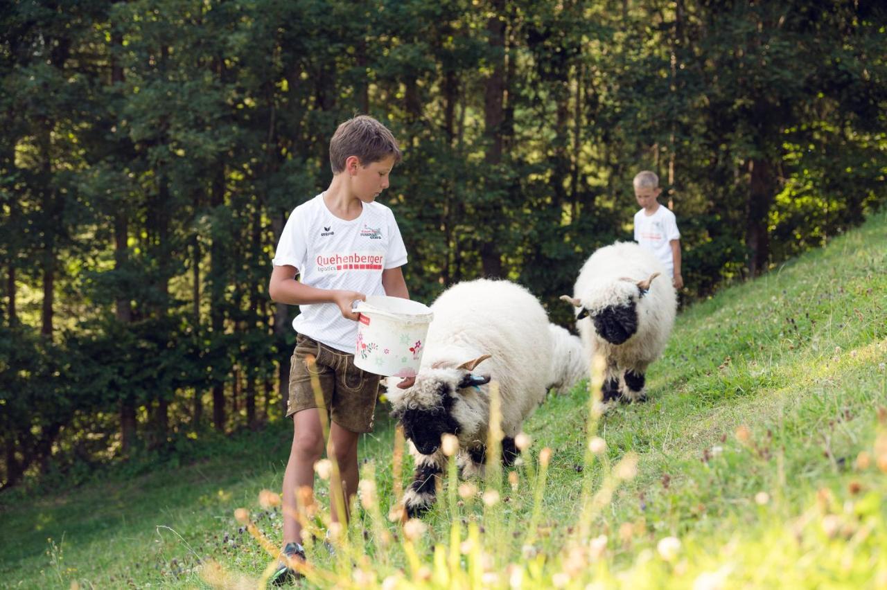 Familienbauernhof Samerhof ฟาร์แวร์เฟน ภายนอก รูปภาพ